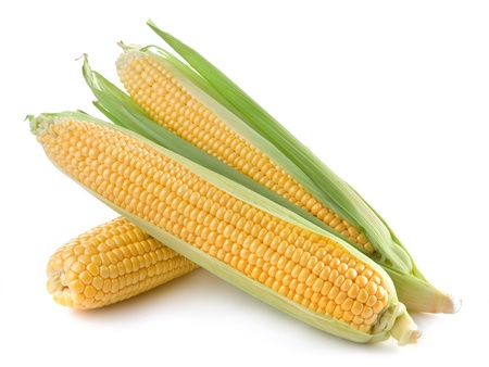 Corn isolated on a white background の写真素材