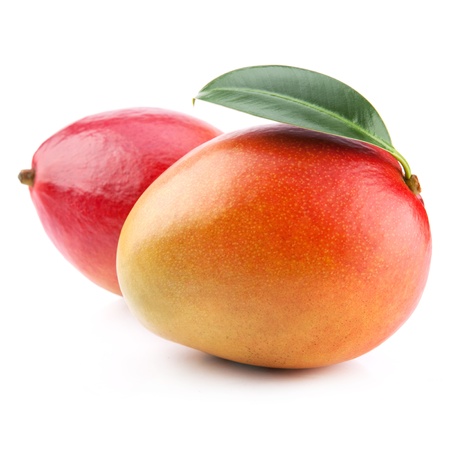 mango fruit isolated on white backgroundの写真素材