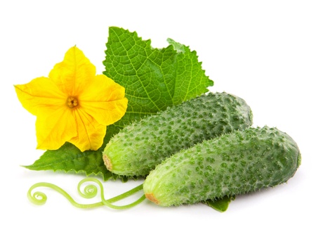 Cucumber isolated over white backgroundの写真素材