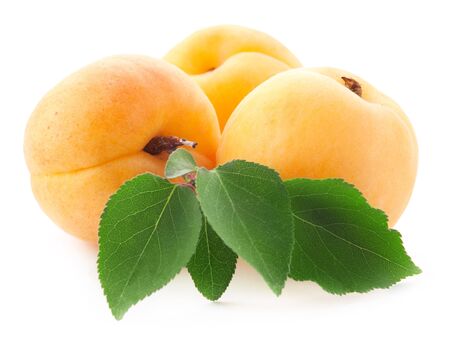 Apricot fruits with leaves isolated on white backgroundの写真素材