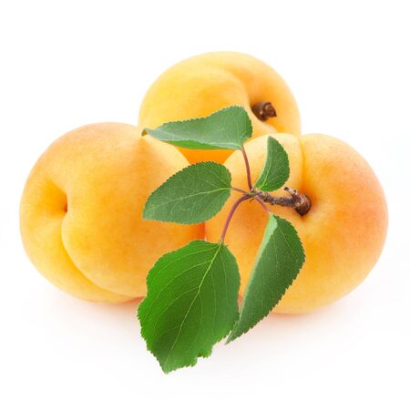Apricot fruits with leaves isolated on white backgroundの写真素材