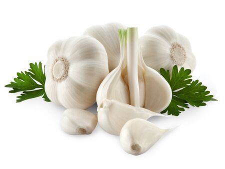 garlic decorated parsley leaves isolated on white backgroundの写真素材