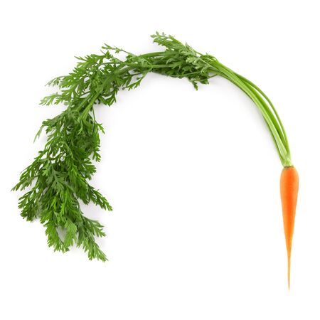 fresh carrots isolated on white backgroundの写真素材