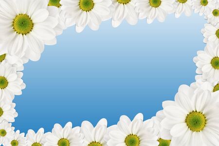 Flowers frame on blue background.の写真素材