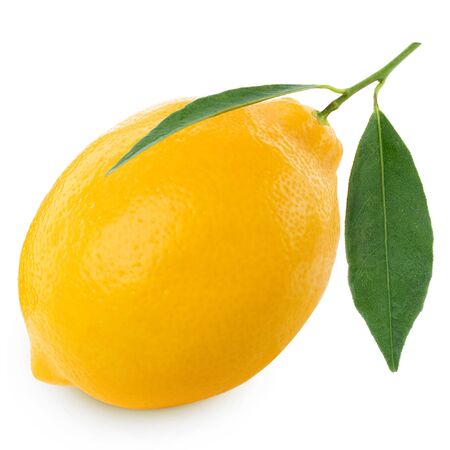 Lemons isolated on white backgroundの写真素材