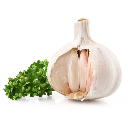 garlic decorated parsley leaves isolated on white background
の写真素材
