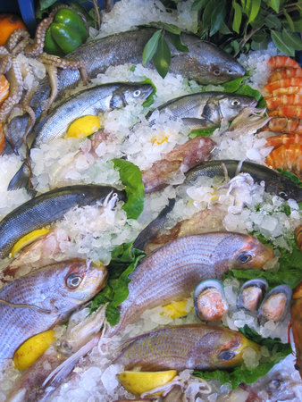 variety of fish and seafood on ice bedの写真素材