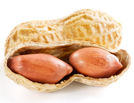 peanut isolated on white background

の写真素材