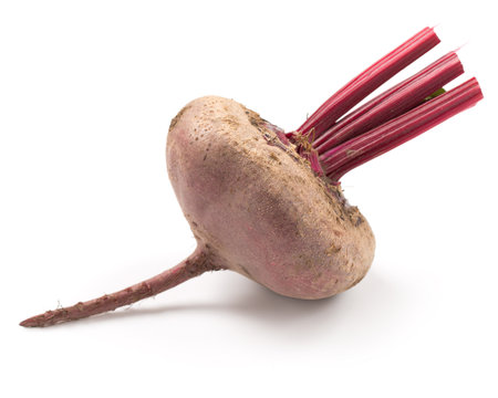 Beets on a white backgroundの写真素材