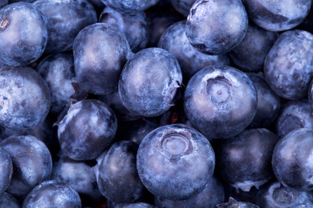 Fresh blueberries backgroundの写真素材
