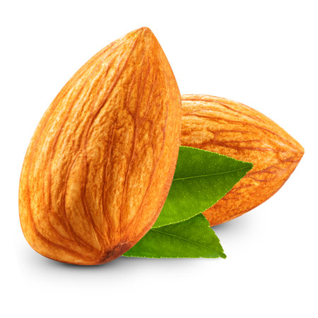 almonds nuts isolatedの写真素材