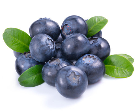 blueberries isolatedの写真素材