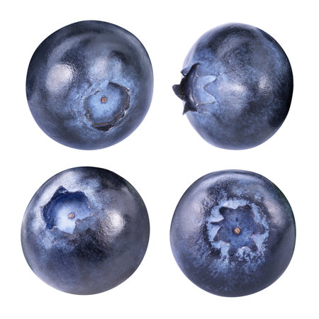 blueberries isolatedの写真素材