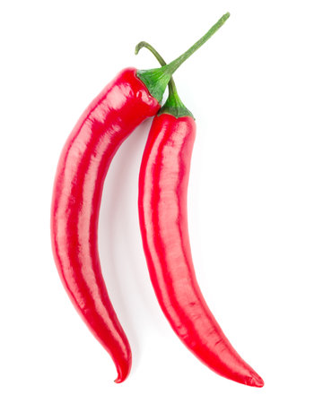 Chili pepper isolatedの写真素材