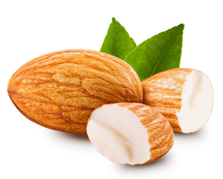 tasty almonds nuts isolated on white backgroundの写真素材