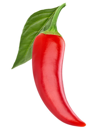 chili pepper isolatedの写真素材