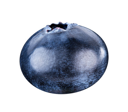 blueberries isolated. Clipping Pathの写真素材