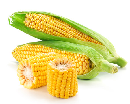 Corn on the cob kernelsの写真素材