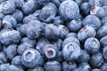 Tasty freshly picked blueberries backgroundの写真素材