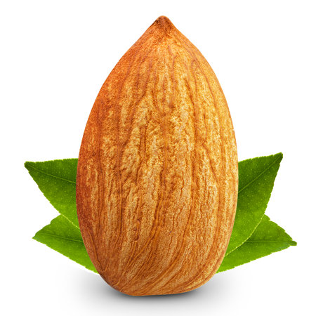 almonds nuts isolatedの写真素材