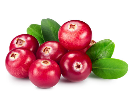 cranberries isolated on whiteの写真素材