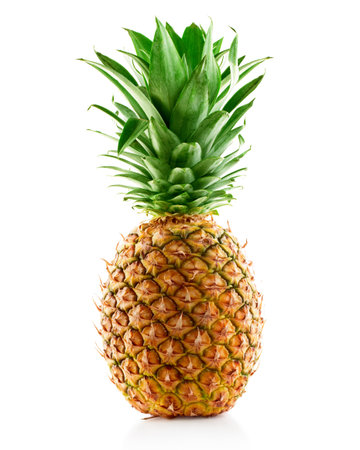 pineapple isolatedの写真素材