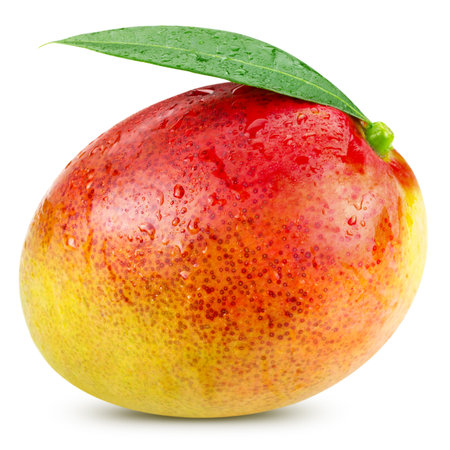 Ripe mango isolated on white Clipping Pathの写真素材