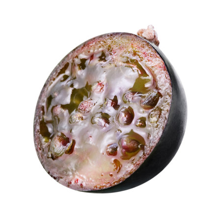 fresh black currants berriesの写真素材