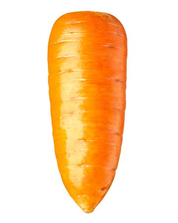 Carrot vegetable isolated on white backgroundの写真素材