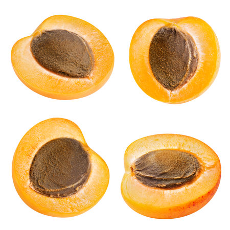 Apricot fruits collectionの写真素材