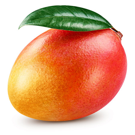 Ripe mango isolatedの写真素材