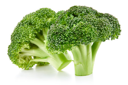 raw broccoli isolated on white backgroundの写真素材