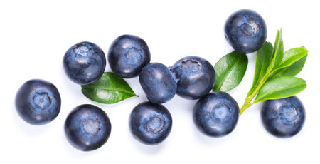 Blueberries isolated on whiteの写真素材