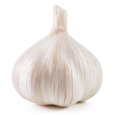 Garlic Isolated on whiteの写真素材