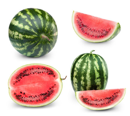 Watermelon fruits collectionの写真素材