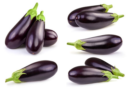 Eggplant collection isolated on whiteの写真素材