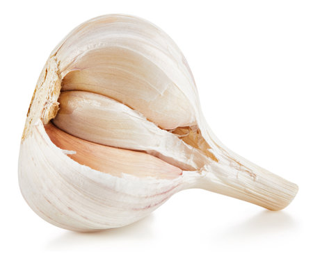 Garlic Isolated on whiteの写真素材