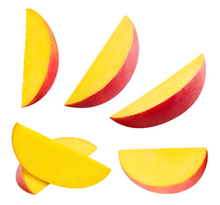 Mango collection isolatedの写真素材