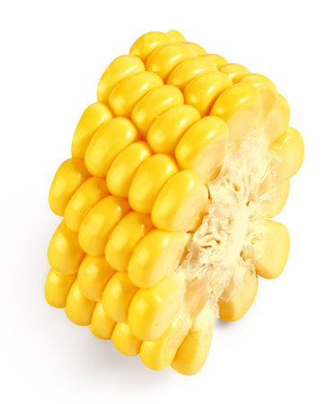 Corn on the cob kernelsの写真素材