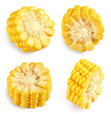 Corn isolated on white backgroundの写真素材