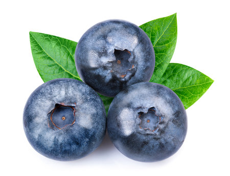 Blueberry isolated Clipping Pathの写真素材