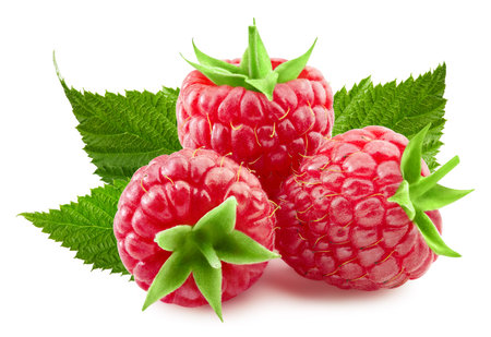 Raspberries isolated on whiteの写真素材