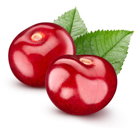 cherries isolated on whiteの写真素材