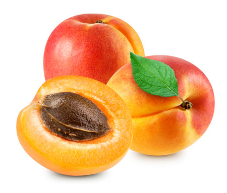 Apricot isolated on whiteの写真素材