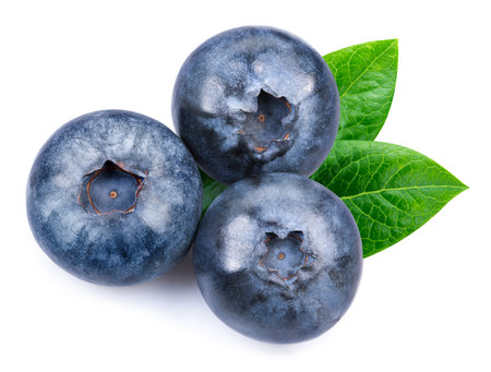 Blueberry isolated on whiteの写真素材