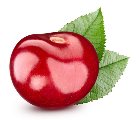 Cherry. Sweet berry isolated on white backgroundの写真素材