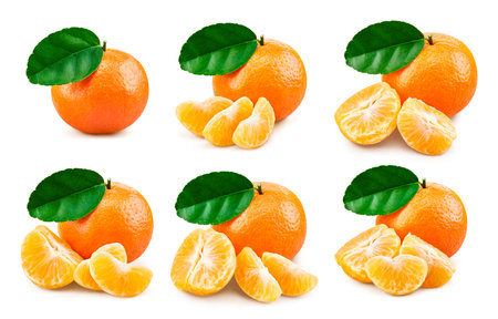 Tangerines isolated on white background.の写真素材