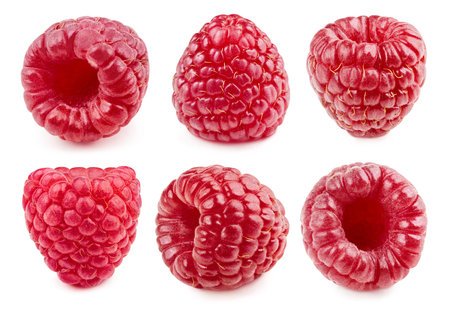 Raspberry Collection isolated on whiteの写真素材