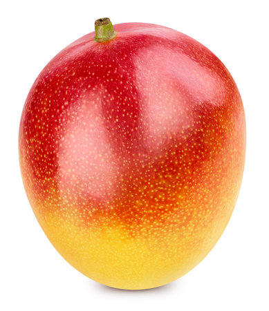 Mango isolated on whiteの写真素材