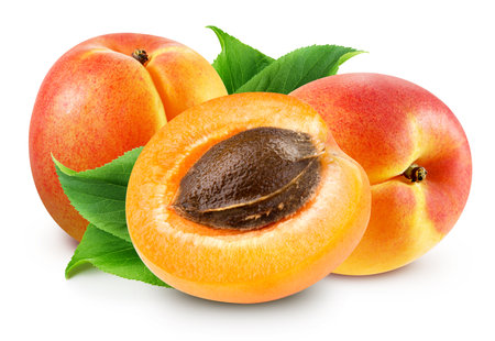 Apricot isolated on whiteの写真素材